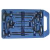 Ersatzteile Werkzeuge Steckschlüssel Katalog T-Griffschlüsselsatz für T-Profil-Schrauben, T10x145mm, 9-tlg