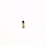 gro�es Bild Abbildung Nr: 1