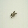 gro�es Bild Abbildung Nr: 8