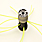 gro�es Bild Abbildung Nr: 1