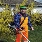 gro�es Bild Abbildung Nr: 5