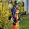 gro�es Bild Abbildung Nr: 4