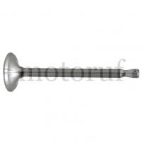 Classic Parts Einlassventil