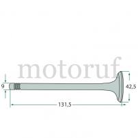 Classic Parts Einlassventil