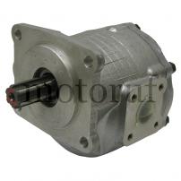 Landtechnik Einfachpumpe