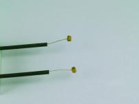 Garten Bowdenzug p.f.Sabo 33261