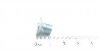 AL503616 SENKSCHRAUBE M8X10 TORX T30 