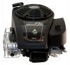 SERIE 1000PXi INTEK OHV Briggs & Stratton