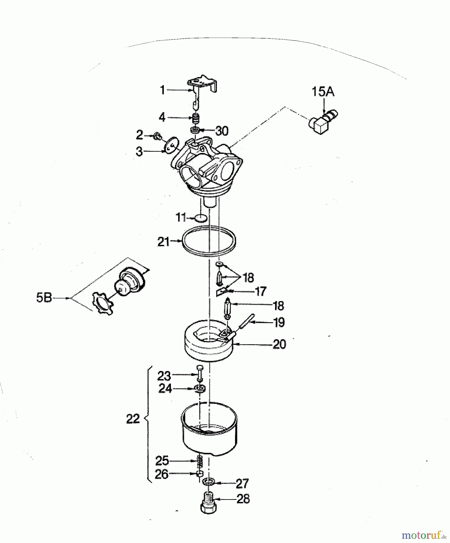 Wolf-Garten Benzinmotoren Tecumseh Centura 50 DX 2038005 (2001) Vergaser