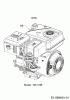MTD T/330 M 21D-33MV678 (2019) Listas de piezas de repuesto y dibujos Engine MTD