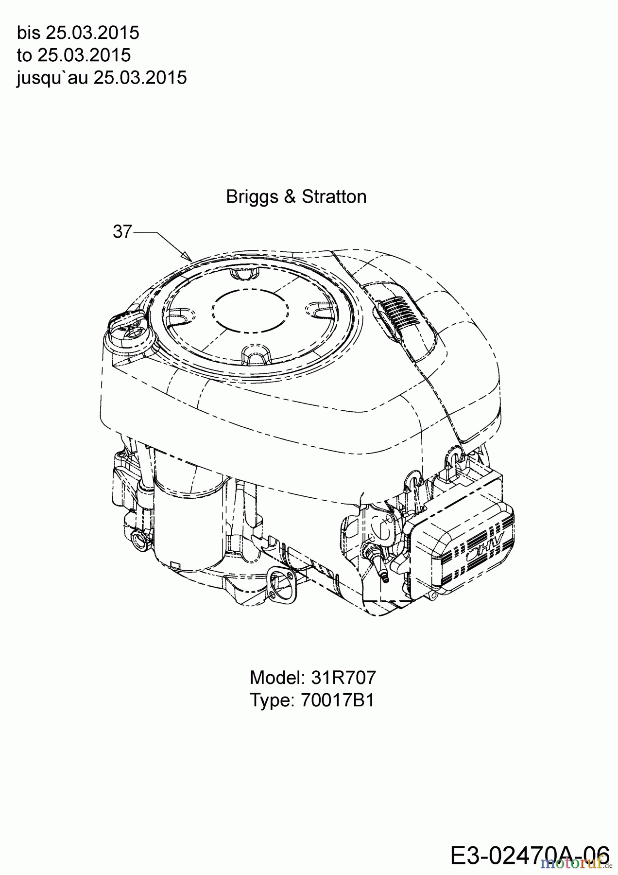  Black Edition Rasentraktoren 175-92 13HN777E615  (2015) Motor Briggs & Stratton bis 25.03.2015