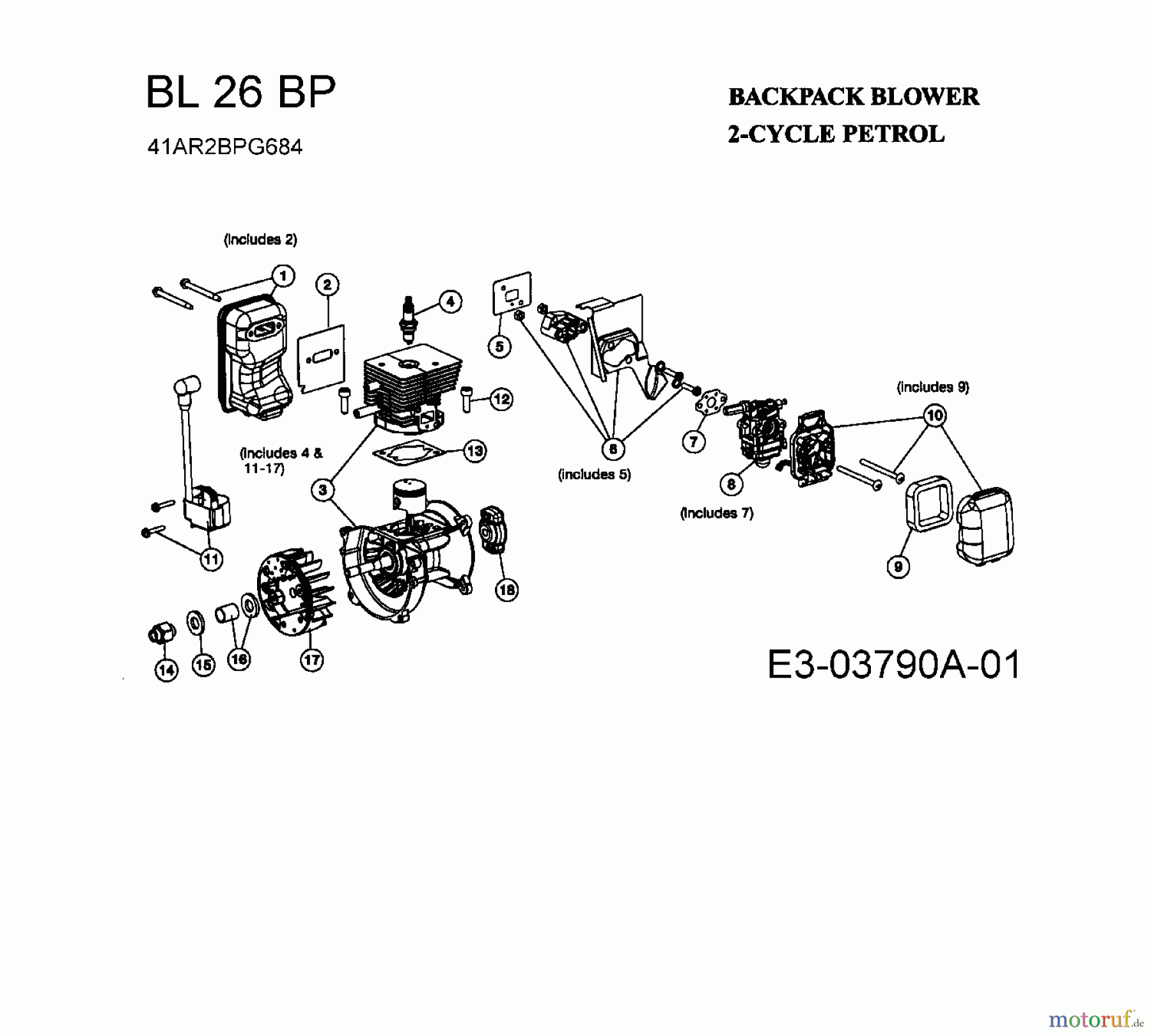  Bolens Laubläser, Laubsauger BL 26 BP 41AR2BPG684  (2008) Motor