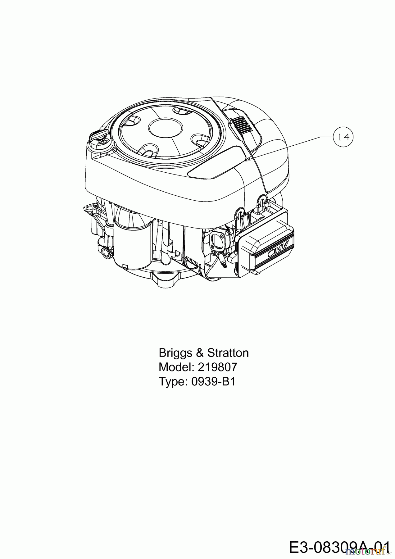  Rasor Rasentraktoren 125/76 T 13AH775C618  (2013) Motor Briggs & Stratton