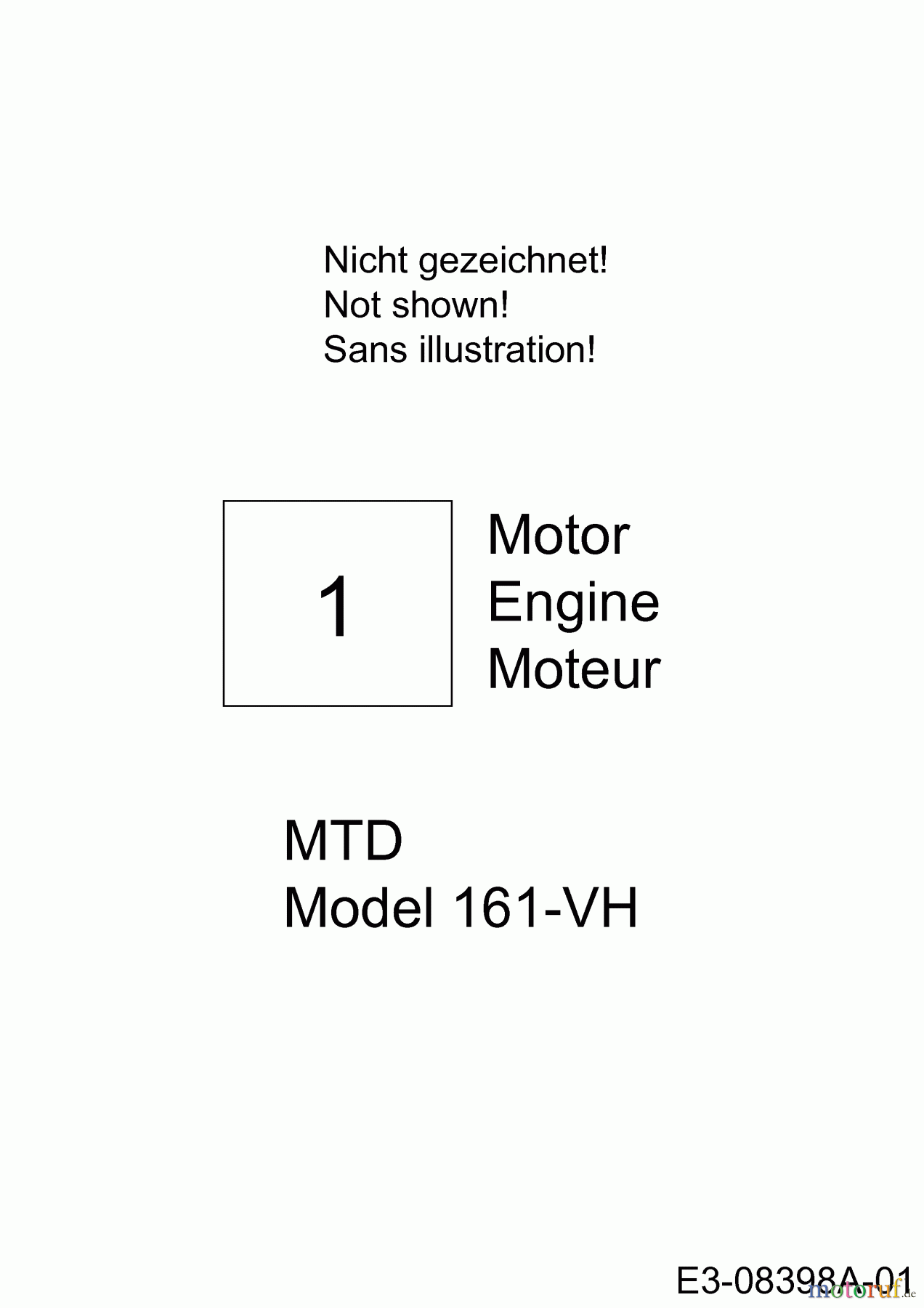  MTD Motorvertikutierer VG 40 BM 16CH5AMQ600  (2013) Motor MTD