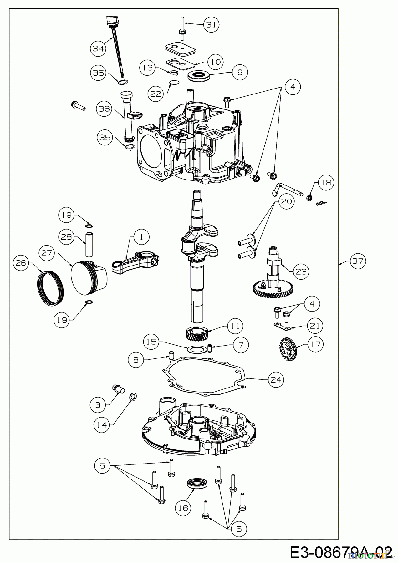  MTD-Motoren Vertikal 5T65RH 752Z5T65RH  (2018) Rumpfmotor
