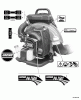Echo PB-750T - Back Pack Blower, S/N: 07001001 - 07999999 Listas de piezas de repuesto y dibujos Labels