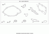 Toro 20089 - 22" Recycler Lawn Mower, 2008 (280000001-280999999) Ersatzteile ENGINE GASKET SET BRIGGS AND STRATTON 126L05-0213-F1
