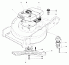 Toro 20772 - Lawnmower, 1980 (0000001-0999999) Ersatzteile ENGINE ASSEMBLY